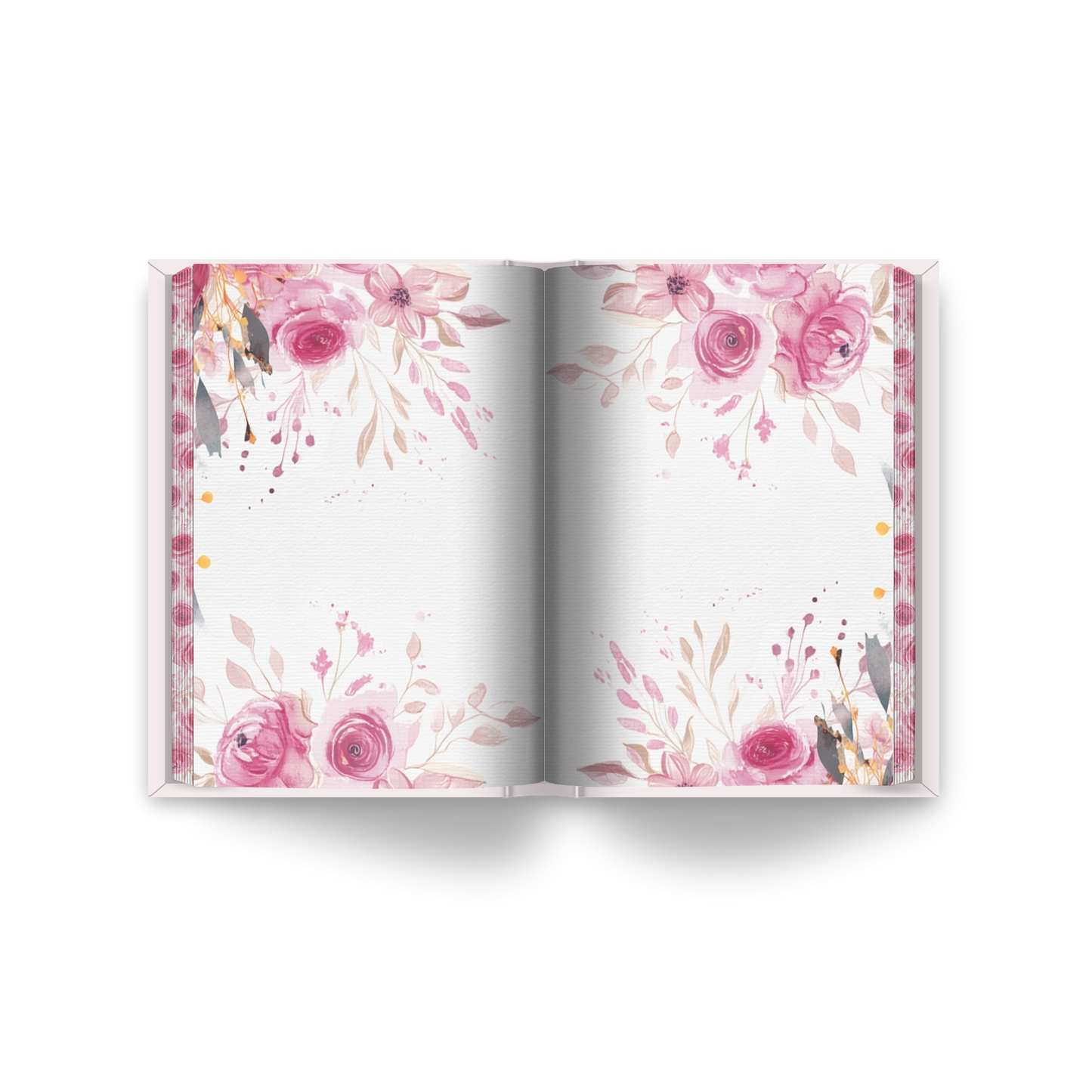 An Accidental Nest (Store-Exclusive Special Edition) – Signed Paperback or Hardback