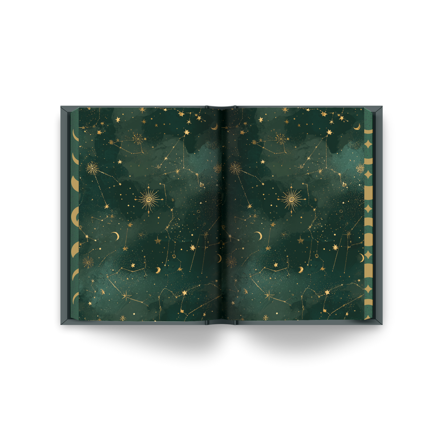 Allies (Collector’s Edition Hardback) – The Luna Series Book 3